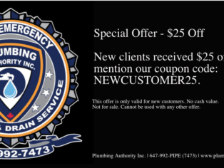 $25 off your services for new clients!