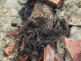 Keeping Roots from Growing in Sewer Lines