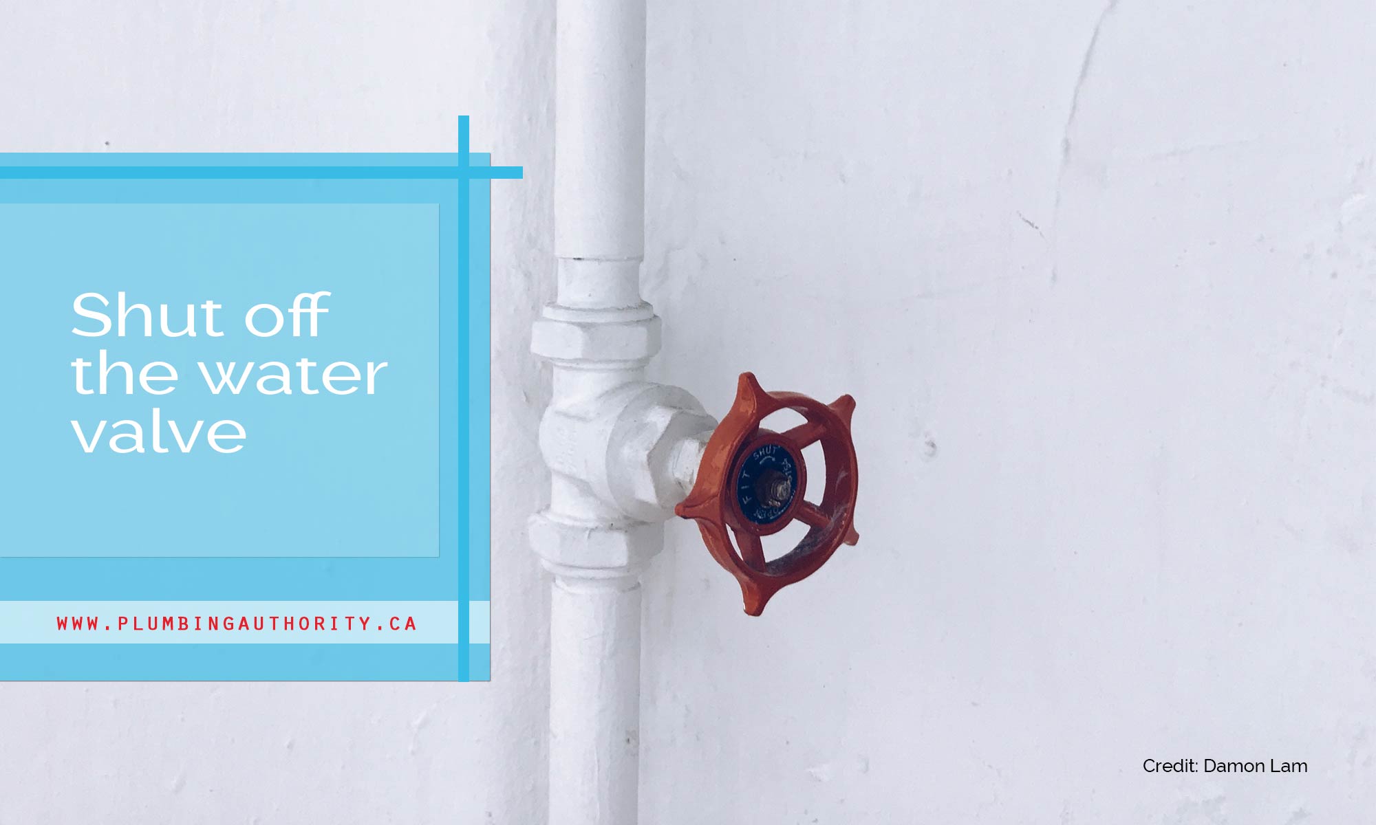 shut off the water valve