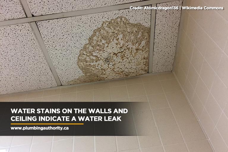 Water stains on the walls and ceiling indicate a water leak
