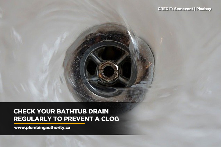 Check your bathtub drain regularly to prevent a clog