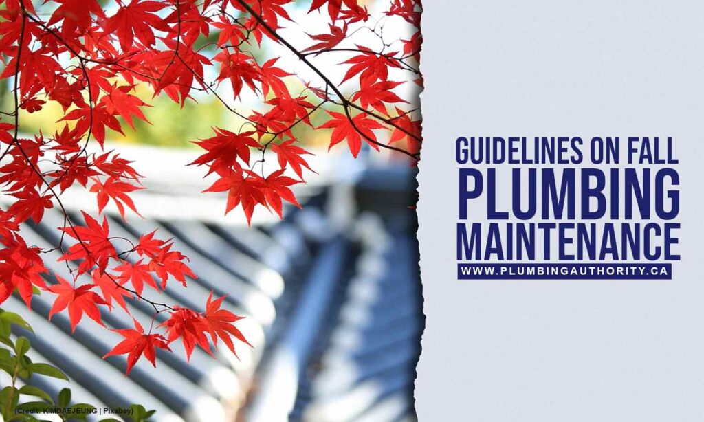6-Tips-to-Get-Your-Plumbing-Ready-for-Autumn