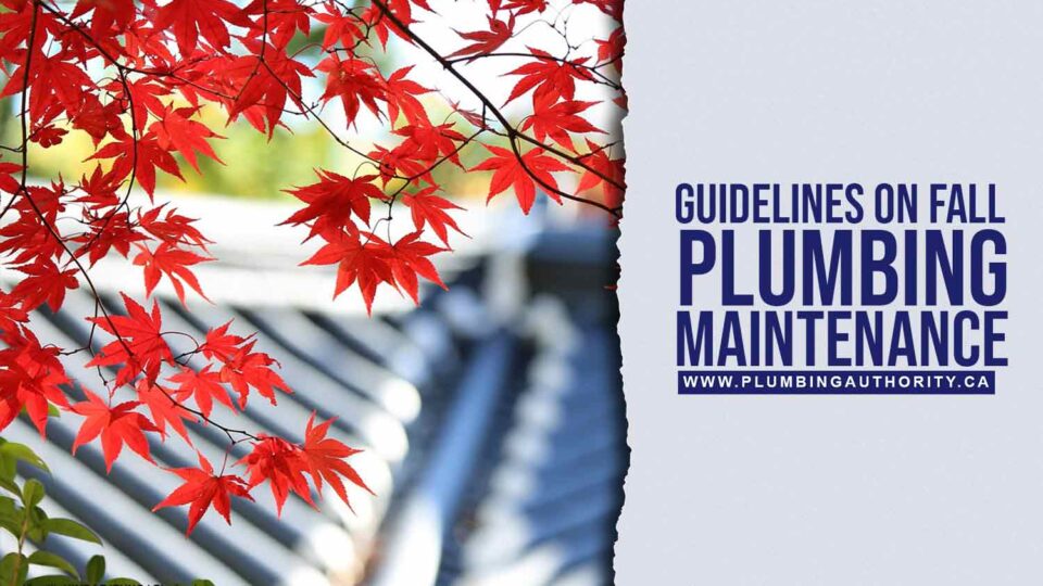 6-Tips-to-Get-Your-Plumbing-Ready-for-Autumn