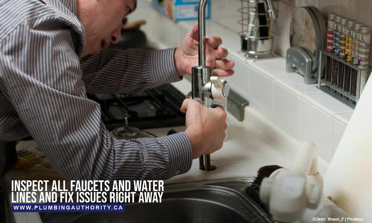 Inspect all faucets and water lines