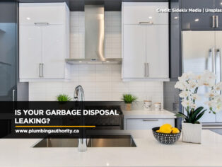 Is Your Garbage Disposal Leaking?