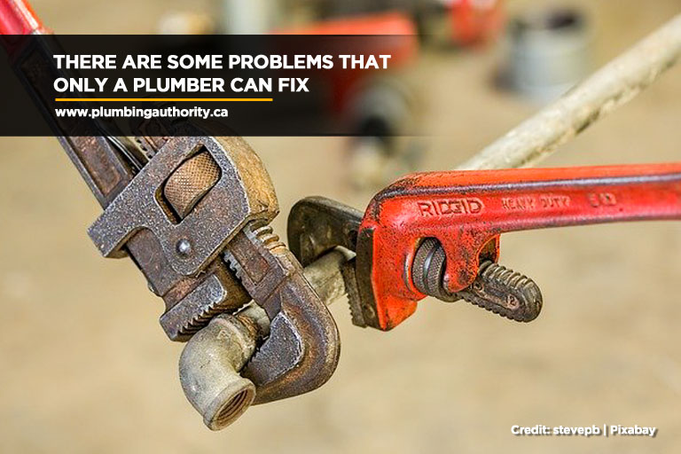 There are some problems that only a plumber can fix
