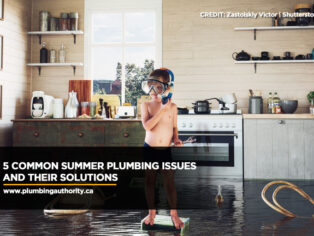 5 Common Summer Plumbing Issues and Their Solutions
