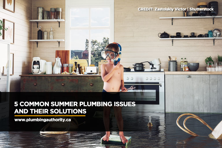 5 Common Summer Plumbing Issues and Their Solutions