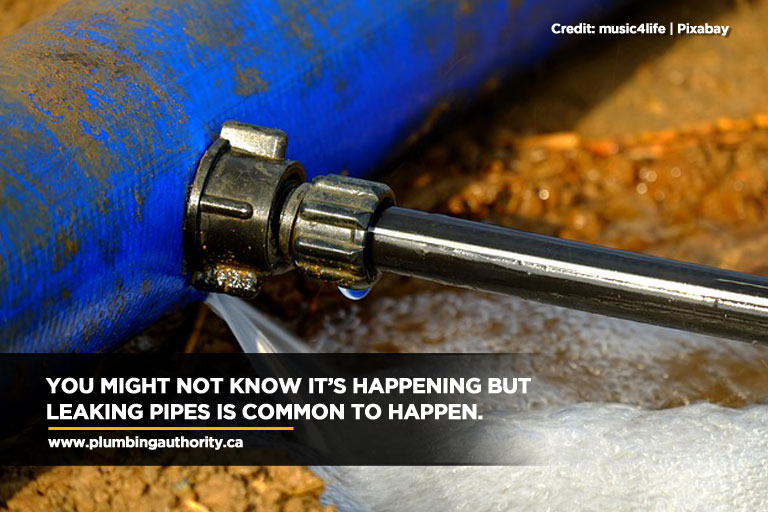 You might not know it’s happening but leaking pipes is common to happen.