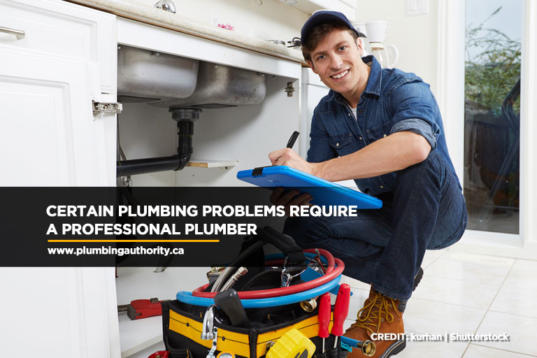 Certain plumbing problems require a professional plumber
