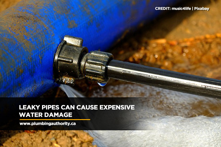 Leaky pipes can cause expensive water damage
