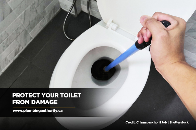 Protect your toilet from damage 
