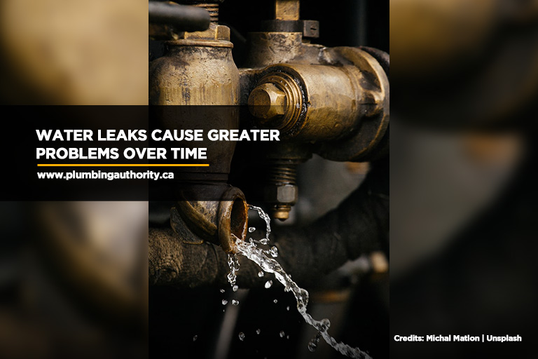 Water leaks cause greater problems over time