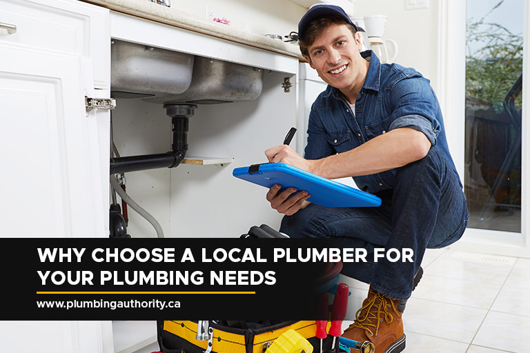Why Choose a Local Plumber for Your Plumbing Needs