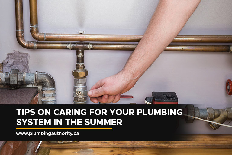 Tips on Caring for Your Plumbing System in the Summer