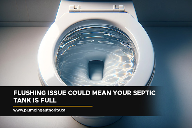 Flushing issue could mean your septic tank is full