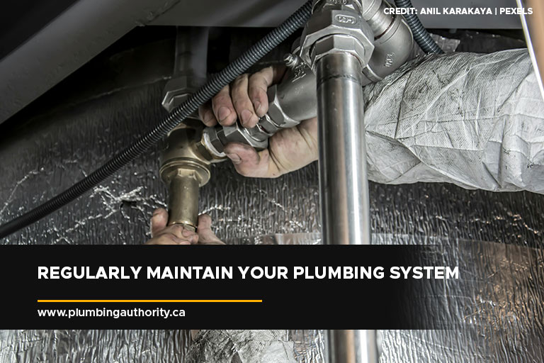 Regularly maintain your plumbing system