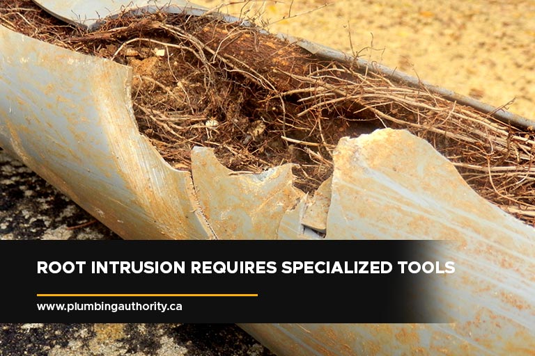 Root intrusion requires specialized tools