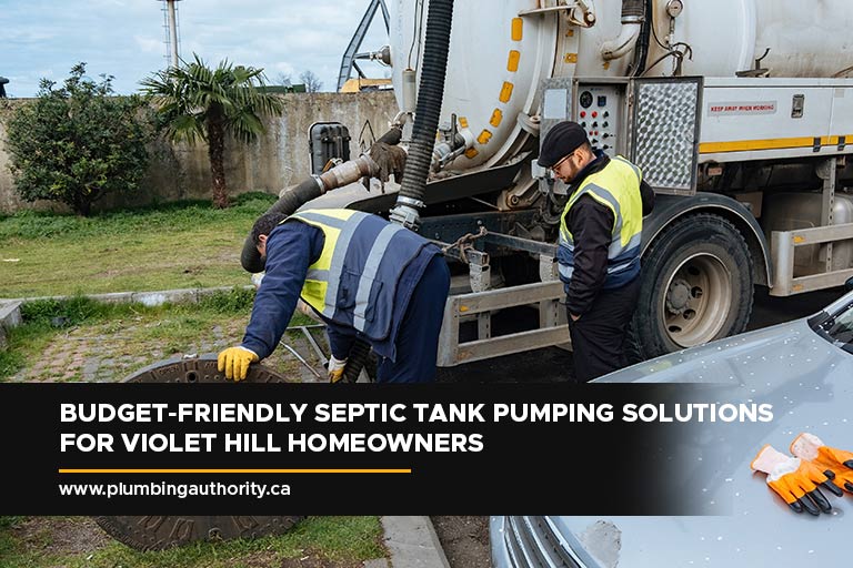 Budget-Friendly Septic Tank Pumping Solutions for Violet Hill Homeowners