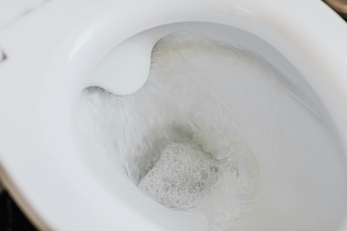 Eco-Friendly-Flushing-Simple-Summer-Upgrades-for-a-Water-Saving-Bathroom