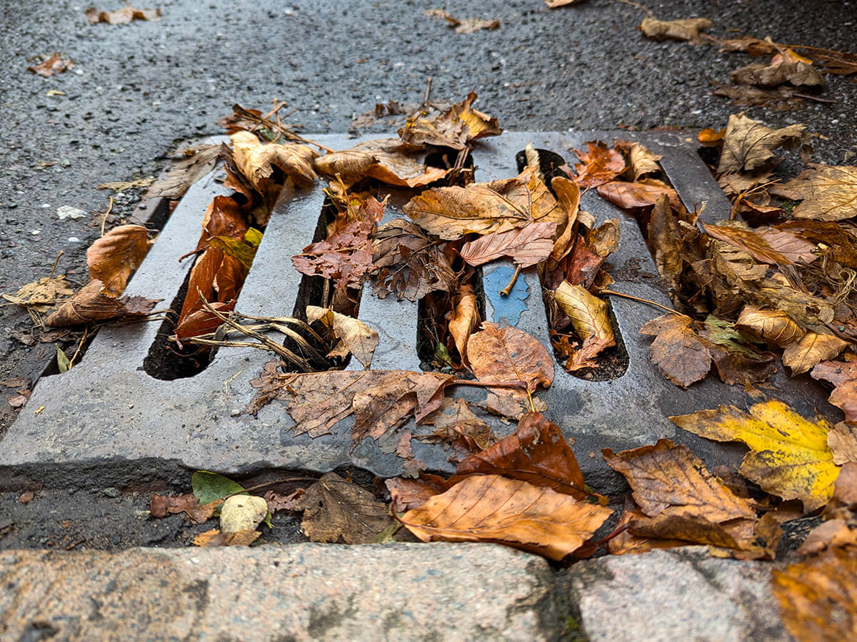 How to Clean Your Outdoor Drains Before Winter Arrives