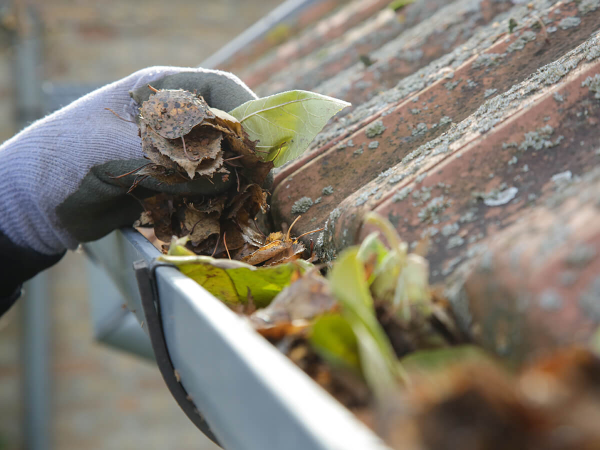 How to Clean Your Outdoor Drains Before Winter Arrives